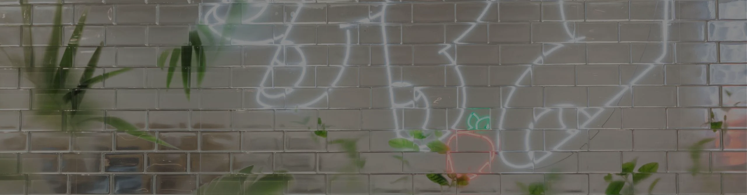 Completed interior glass block wall with reflected neon artwork and greenery.