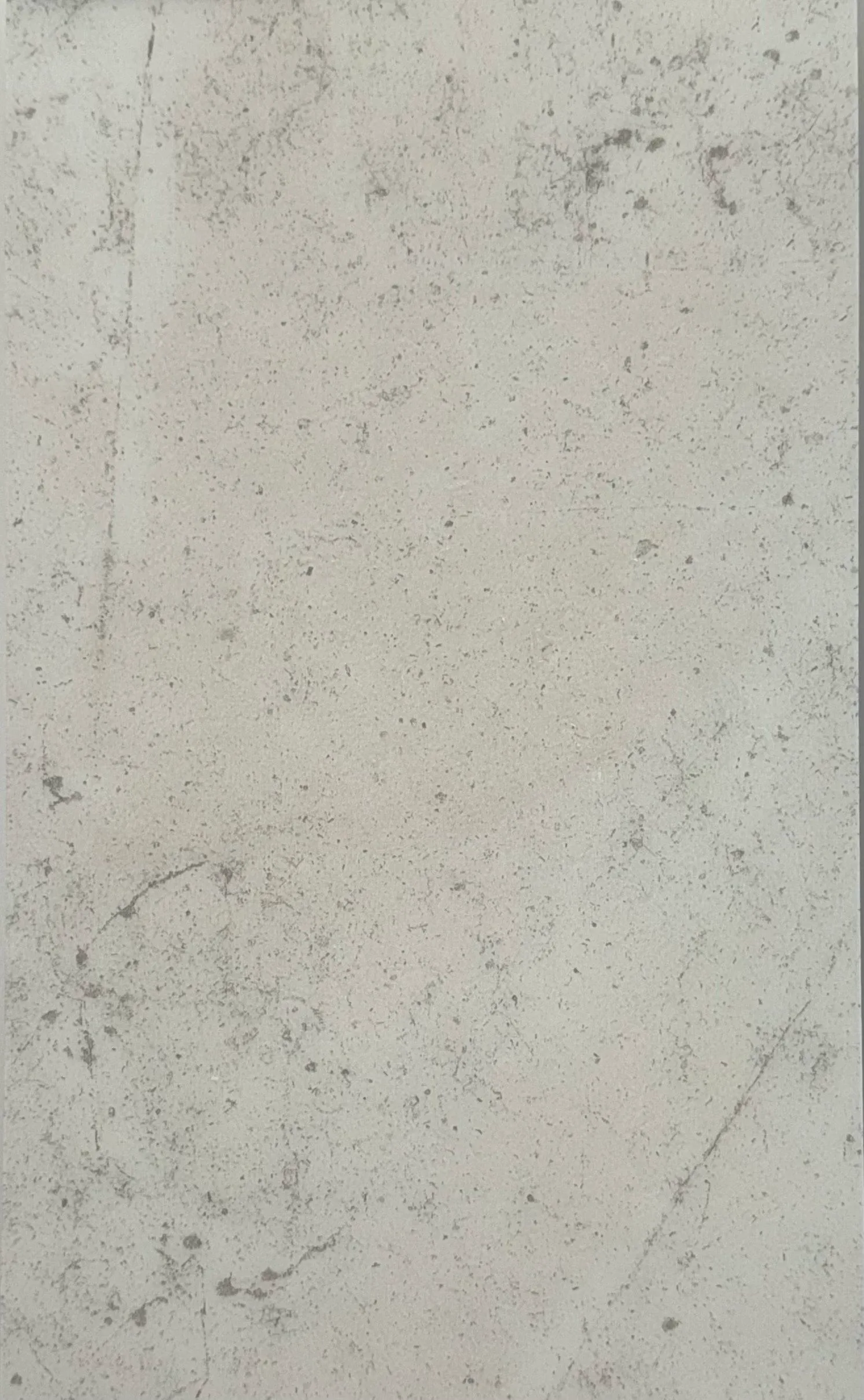 Braga Silver mineral core flooring tile.