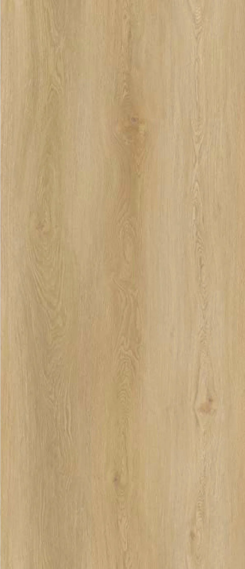 Oak Beatrice wood-look mineral wall panel texture.