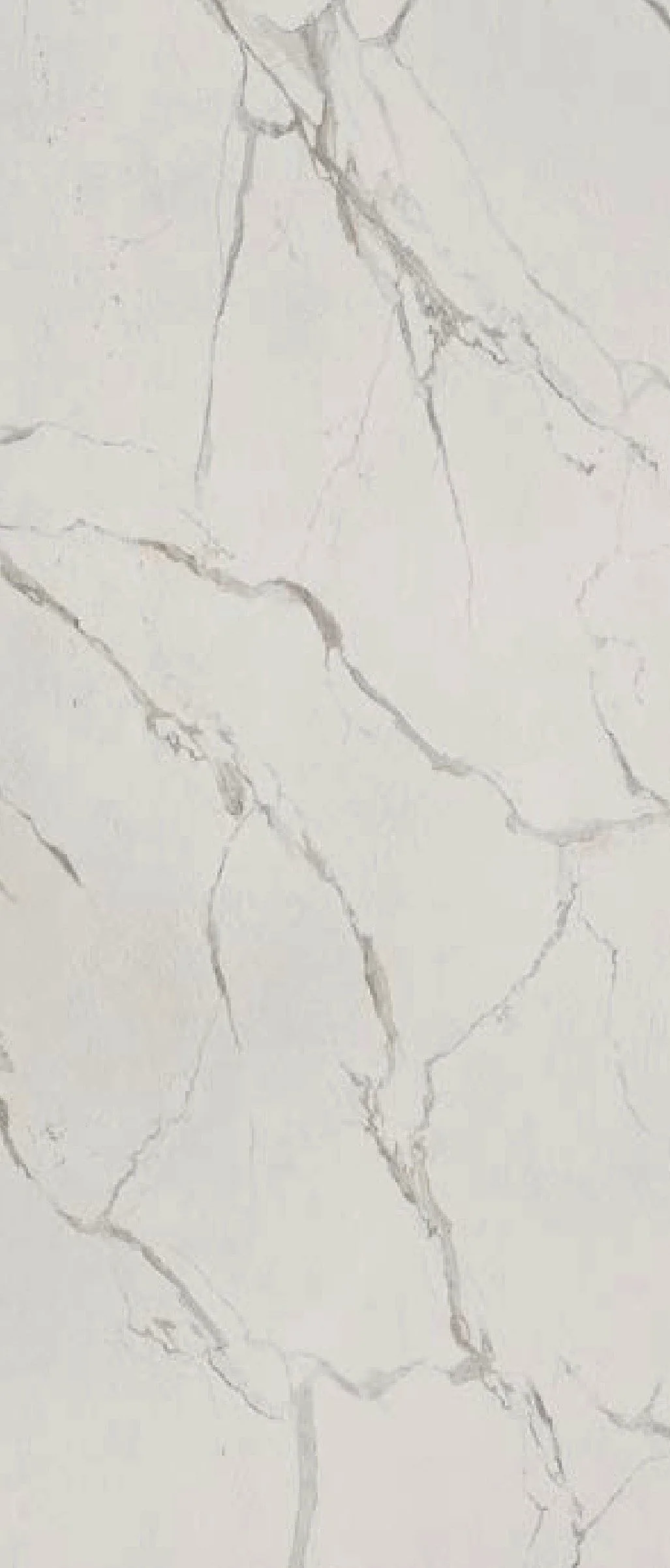 Pietra Santa White mineral wall panel texture.