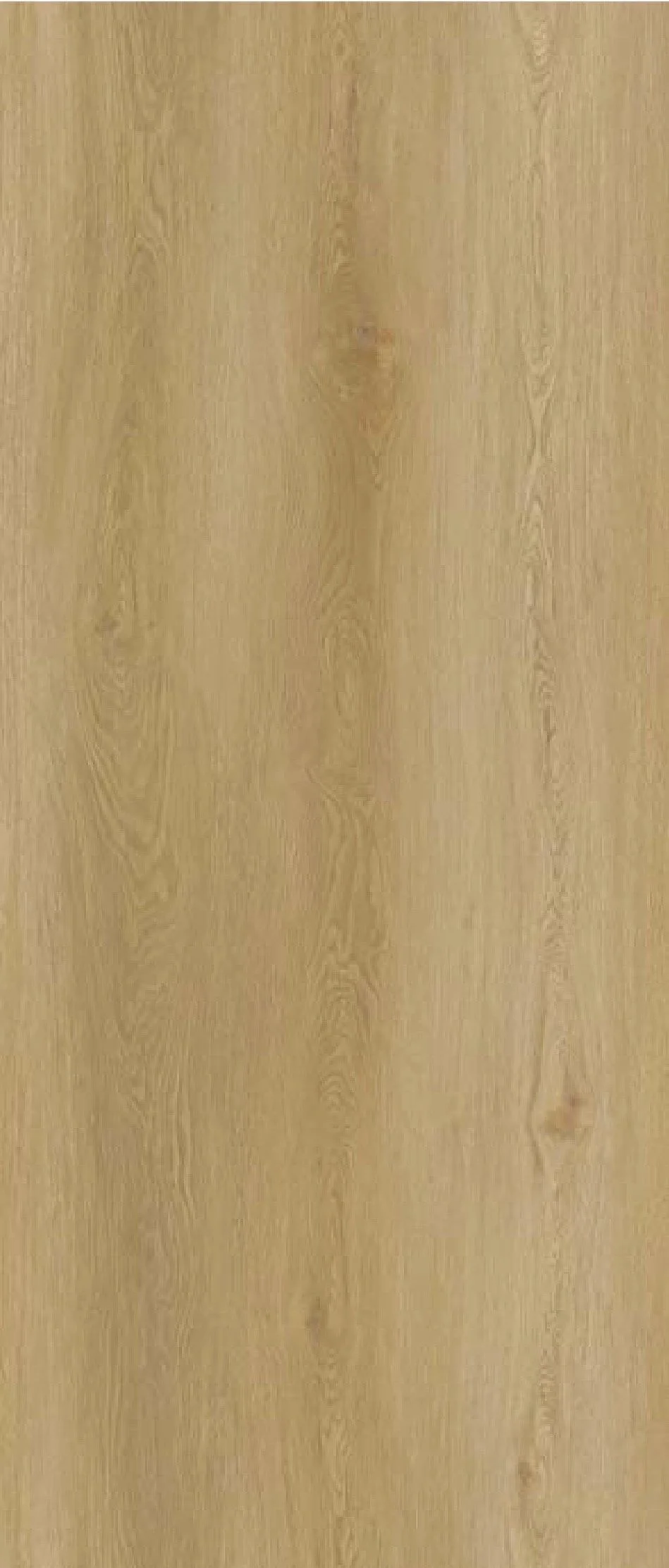 Oak Asturia wood-look mineral wall panel texture.